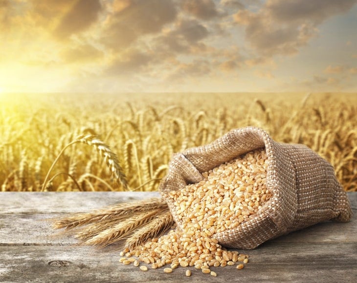 Organic Whole Wheat Couscous - Image 4