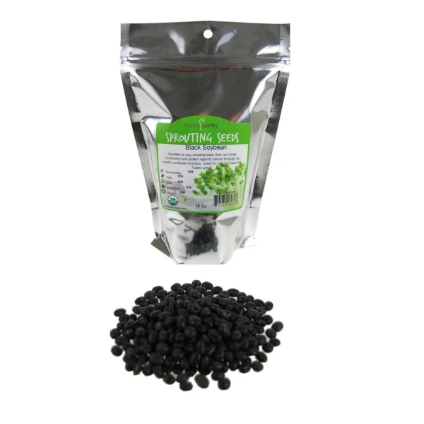 Organic Black Soy Beans -1 Lb