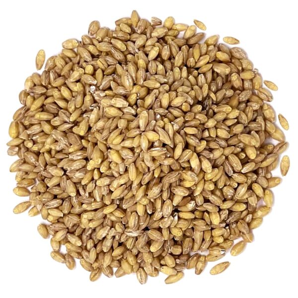 Hulled Barley