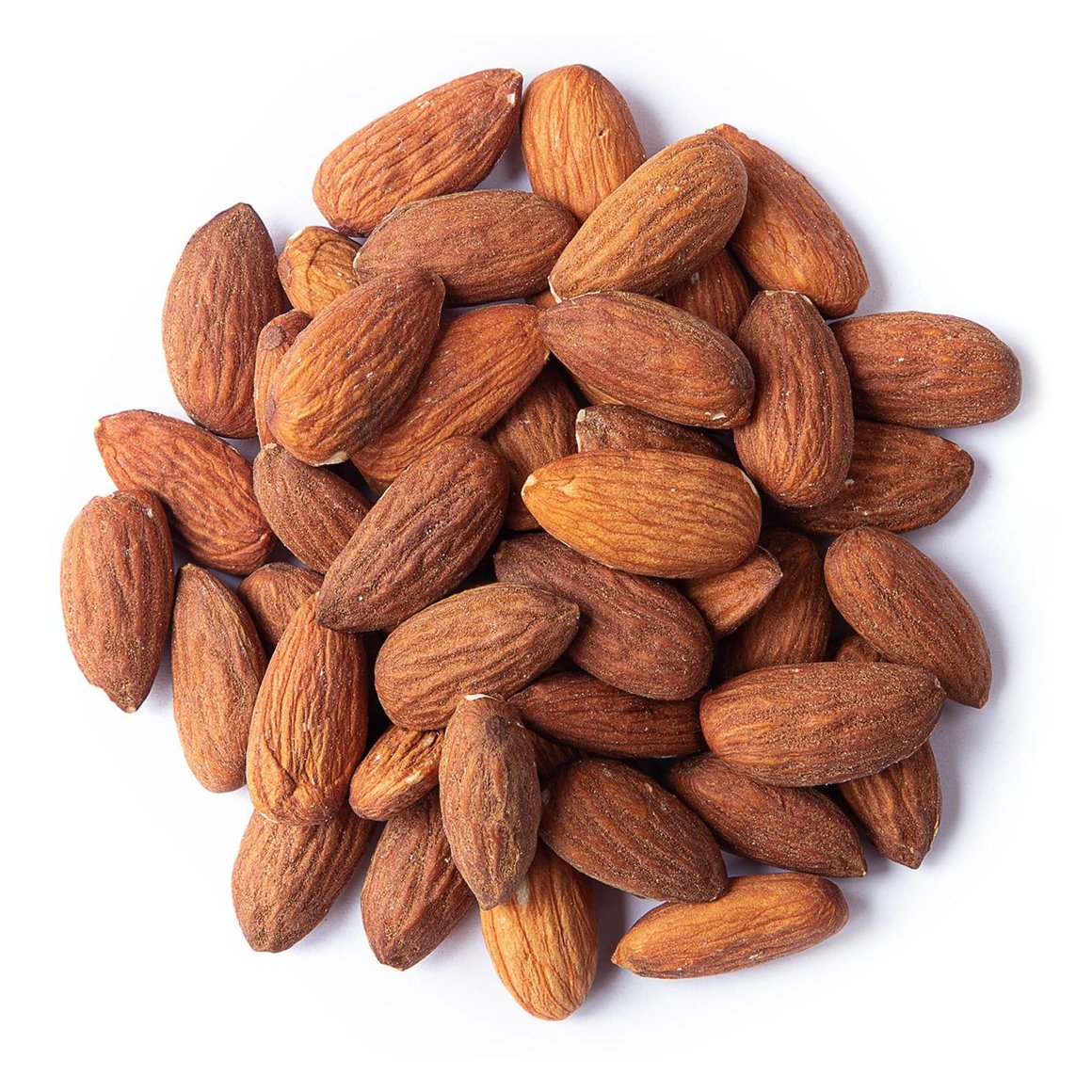 Organic Dry Roasted Almonds with Himalayan Salt – Gavisco Traders