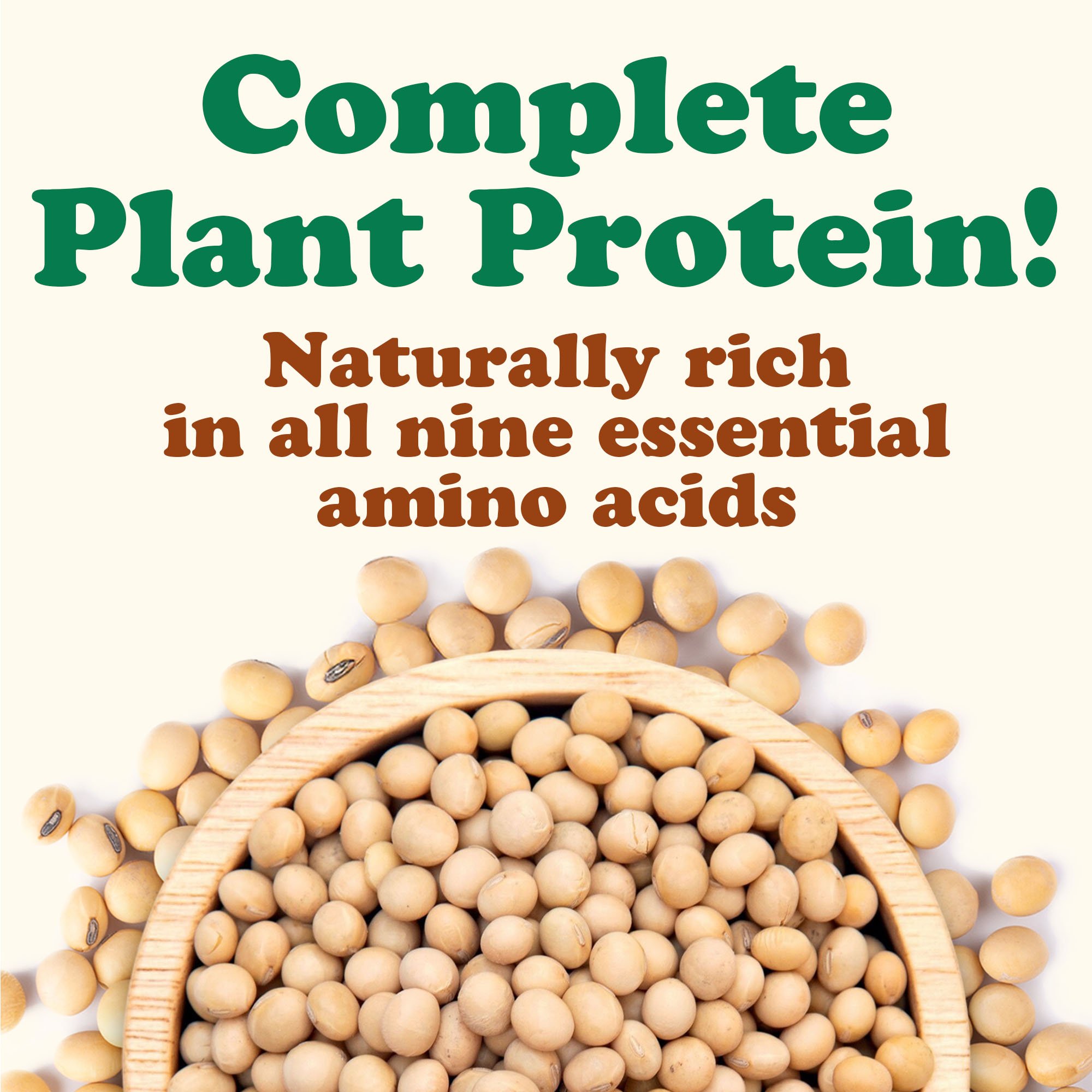 Organic Soybeans - Image 3