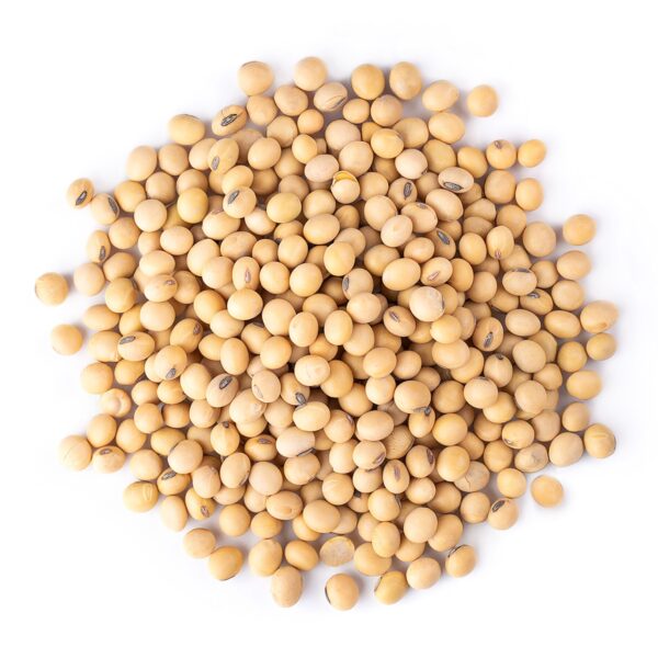 Organic Soybeans