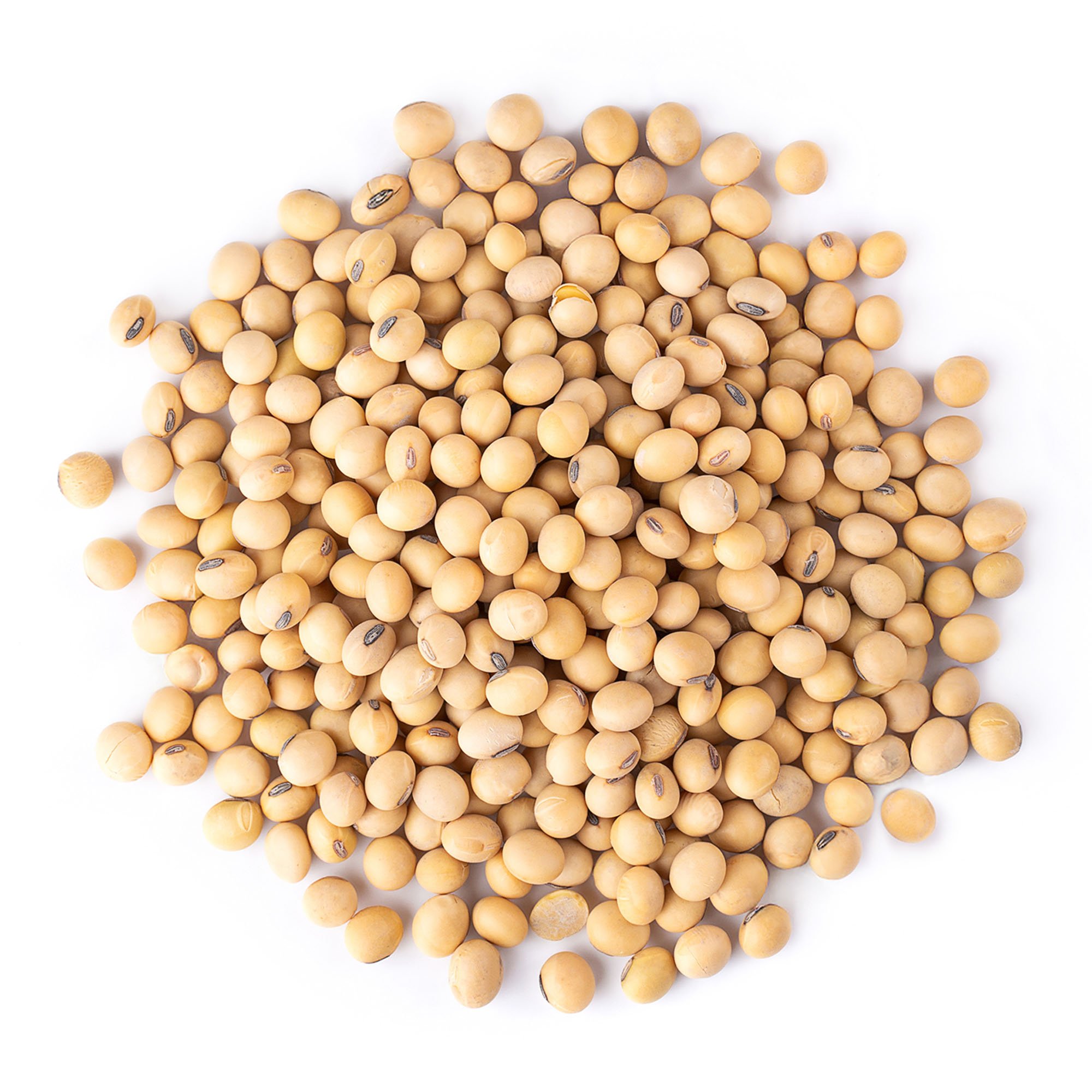 Organic Soybeans