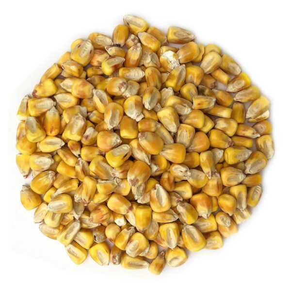 Organic Whole Yellow Corn