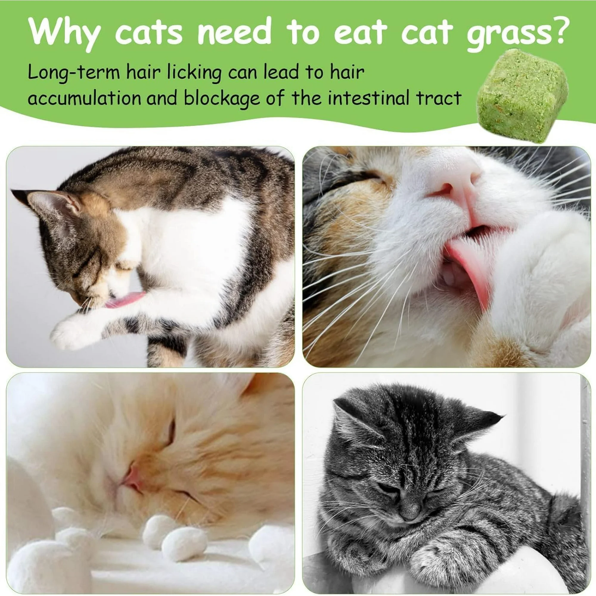HavenJanny 60g Cat Grass Treats for Cat - Image 3