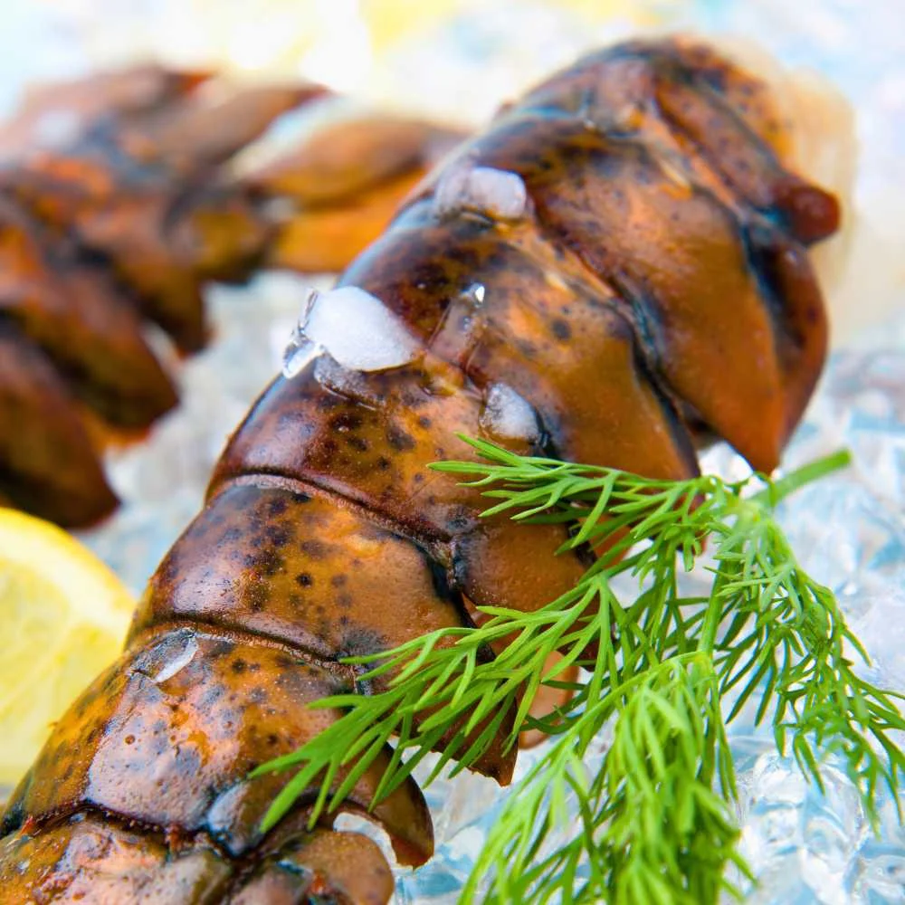 Today Gourmet Lobster Tails - 14oz.-16oz. - (2 Tails) - Image 5