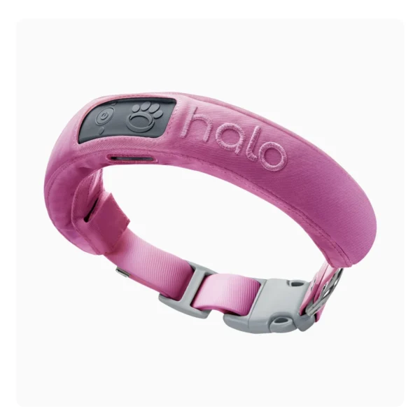 Halo Collar 3 - Wireless GPS Dog Fence & Training Collar with Real-Time Tracking, Orchid, Medium/Large