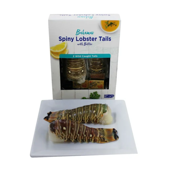 Sea Best Frozen Wild Caught Warm Water Lobster Tails with Butter, 10 oz