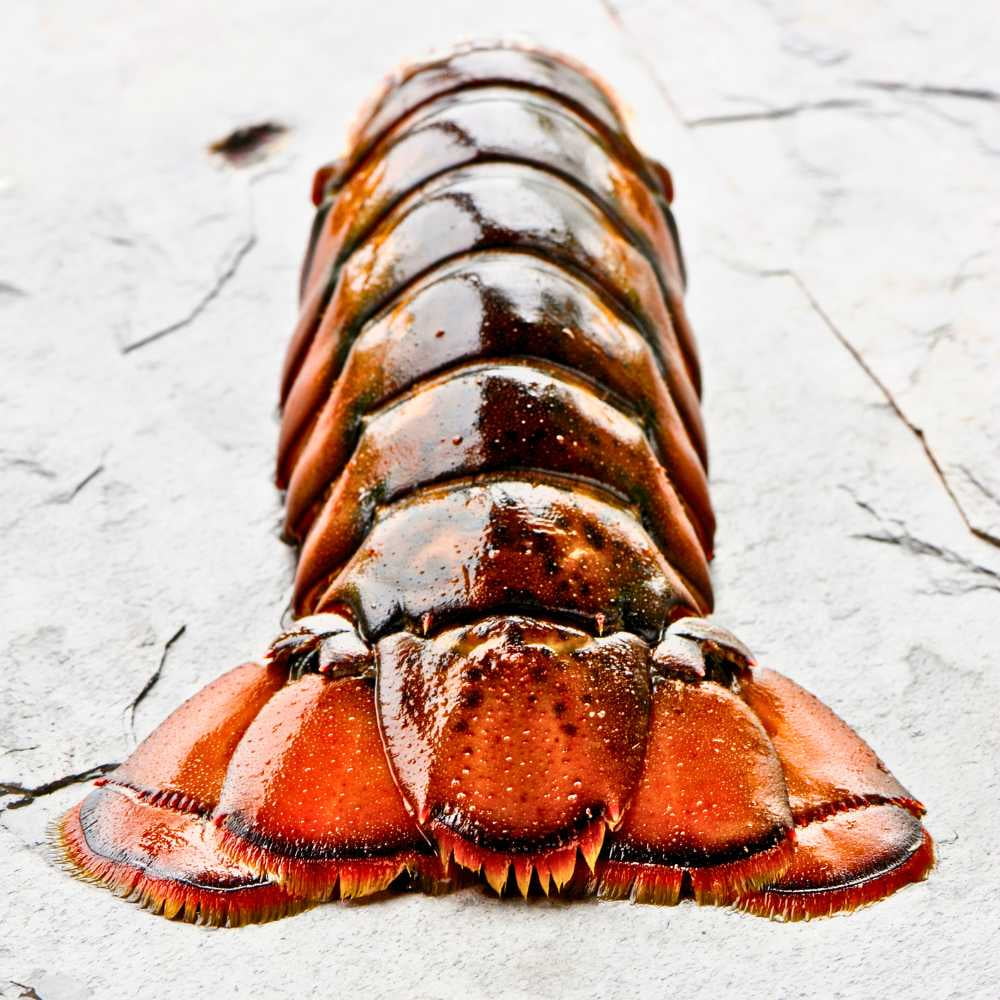 Today Gourmet Lobster Tails - 14oz.-16oz. - (2 Tails) - Image 3