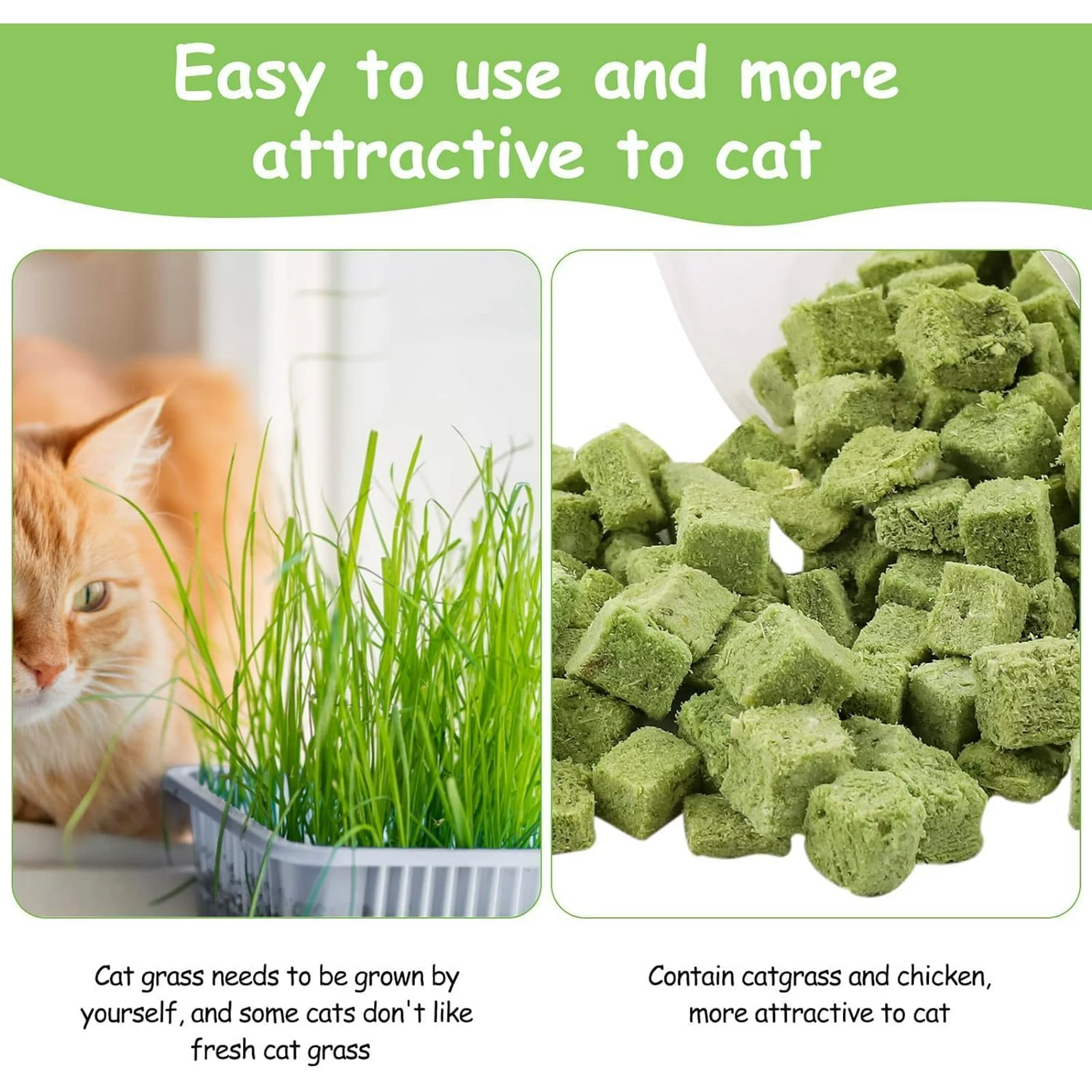 HavenJanny 60g Cat Grass Treats for Cat - Image 4