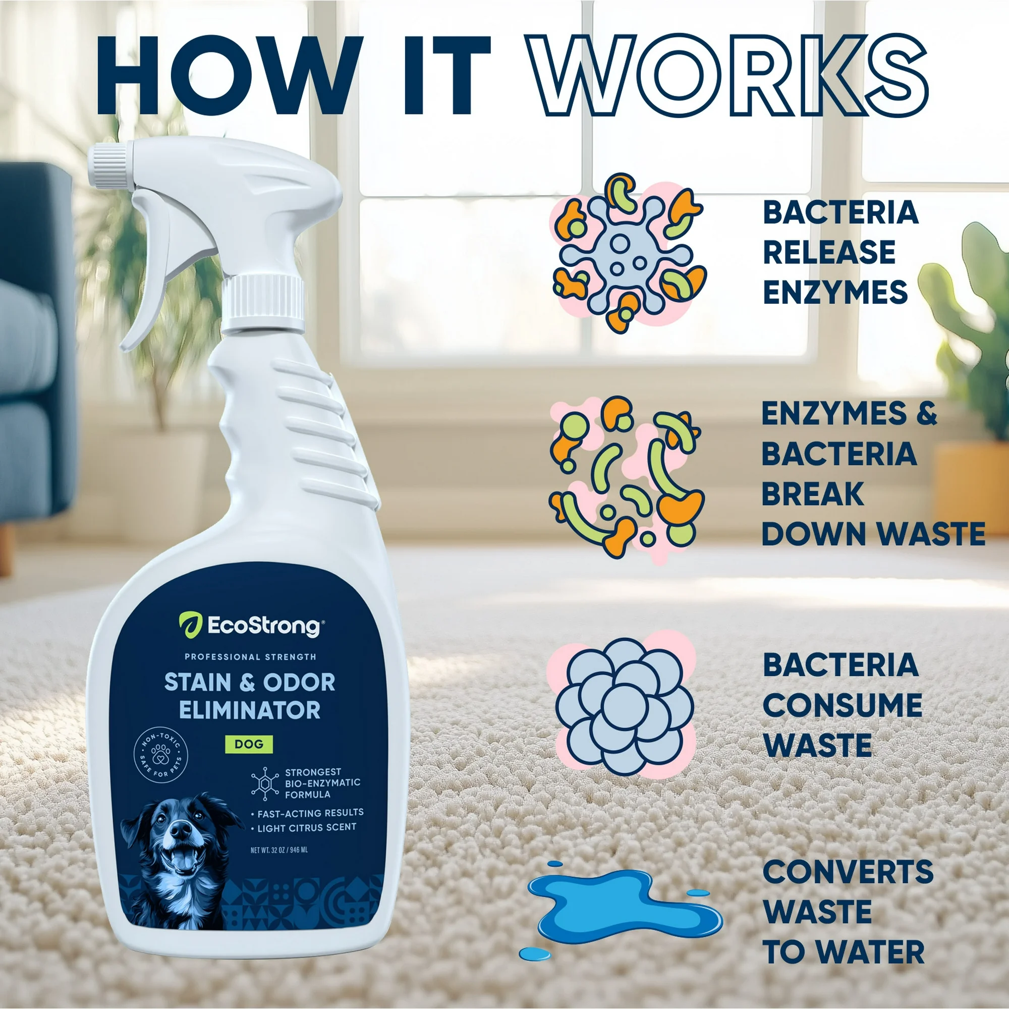 Dog Stain & Odor Eliminator: Bioactive Solution for Carpet, Furniture, Kennels and More (32 oz) - Image 2
